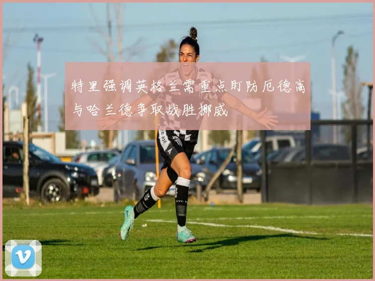 特里强调英格兰需重点盯防厄德高与哈兰德争取战胜挪威